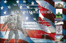 Wounded Warrior Poster